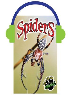 cover image of Spiders